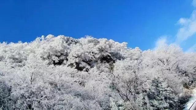 妖尾VS海贼王1.1