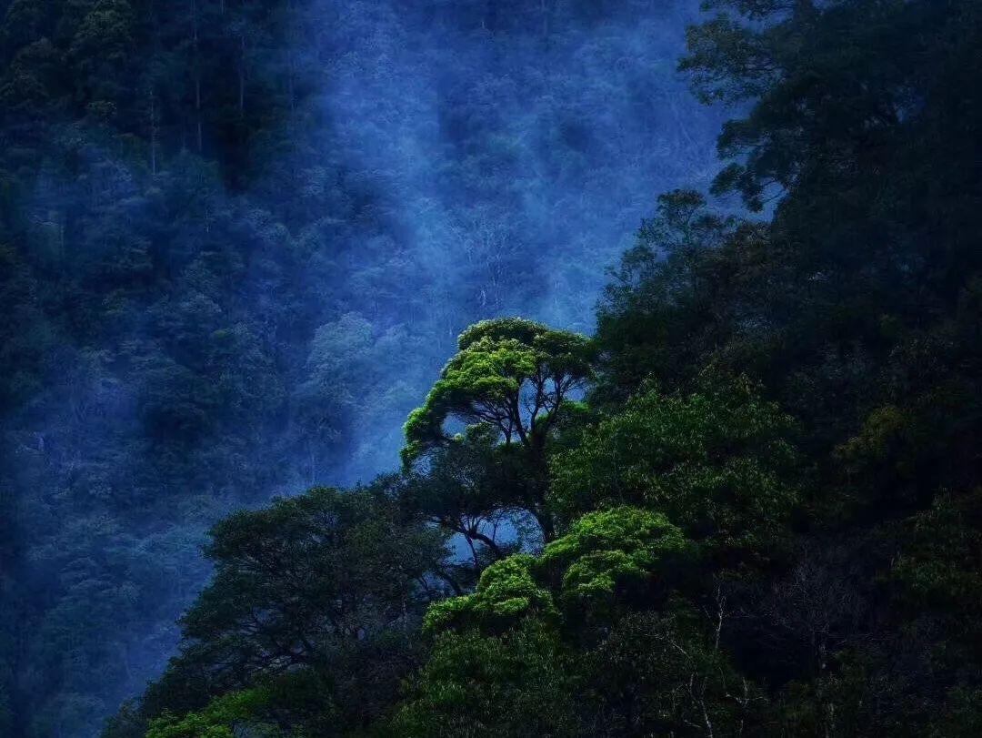 项羽的分封