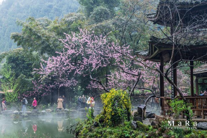 滚动的奶酪选关版