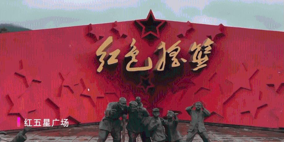 毒蛇一般体型都较小，咬了人又不能吃掉，为什么会主动攻击人类？游戏画面
