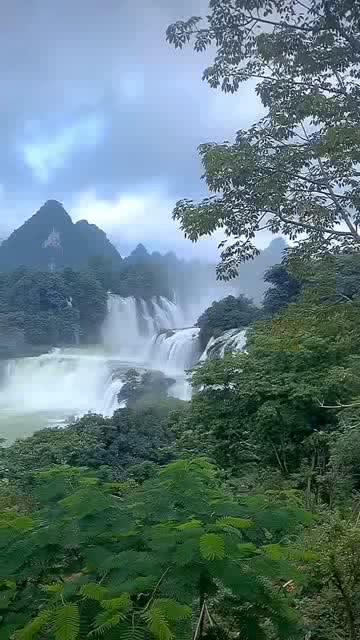 救出被困的老鼠