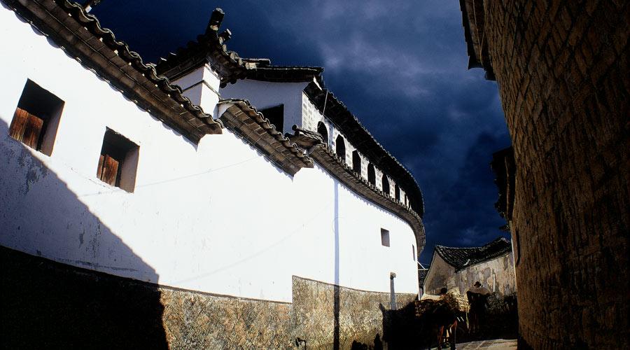 动物帮帮忙保卫家园